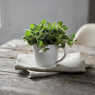 Denby - Natural Canvas Set of 2 Textured Large Mug - Buy Me Once UK